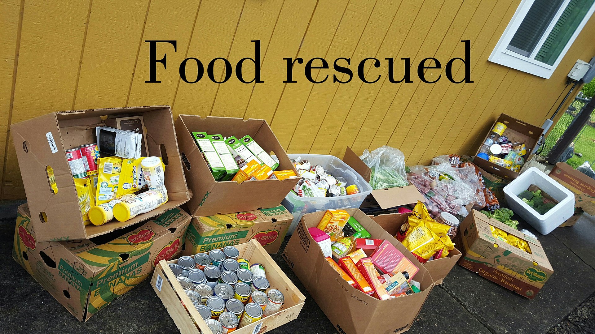 Refuse Rescue Food Waste Rescue - Foodwaste Actionsummits